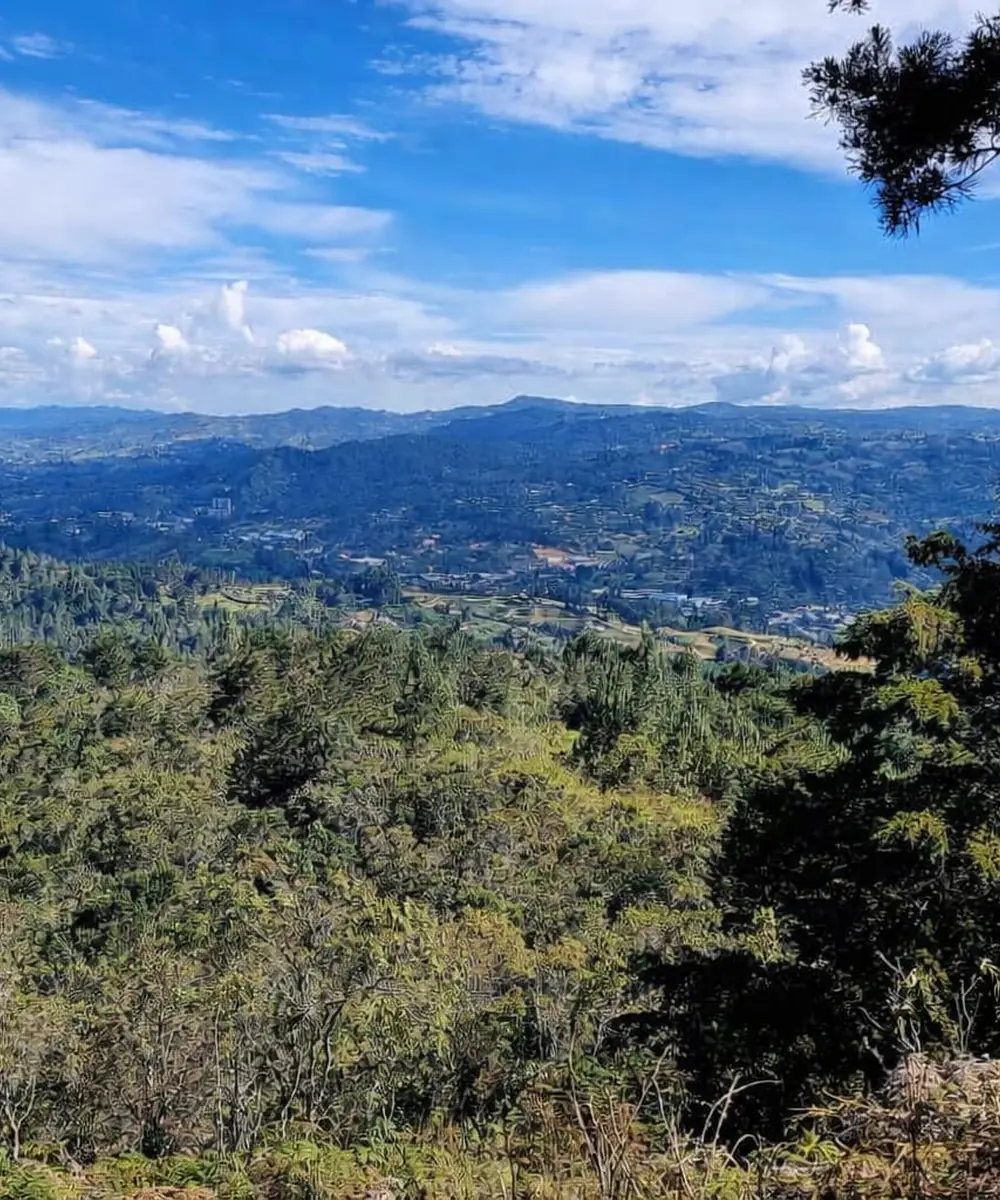 Vista del valle de Guarne y las veredas Hondita y Hojas Anchas desde la zona alta del acueducto, Antioquia
